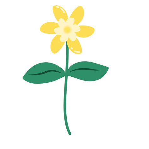 Botanical Flower Doodle 26676224 Png