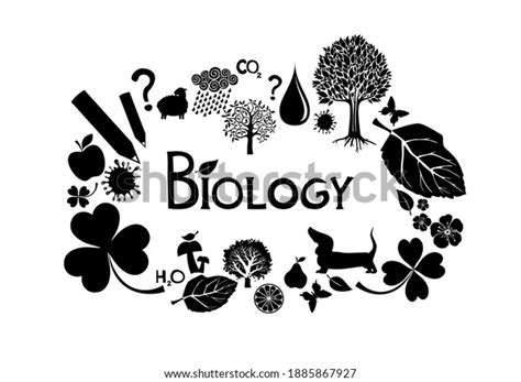 Biology Clipart Black And White