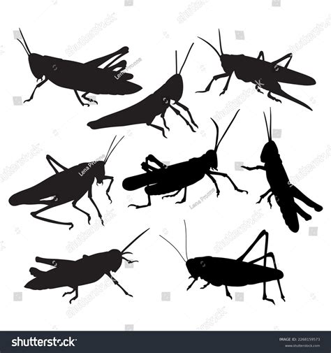 Grasshopper Locust Bundle Cutting Stencil Templates Stock Vector