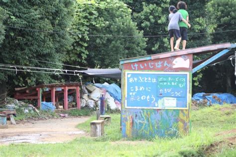 【川崎市こども夢パーク】遊び方は無限大！ずぶ濡れ、焚き火や水遊び。木の工作、泥遊び、子供たちがやりたいことに自由に挑戦できる！ダイナミックな