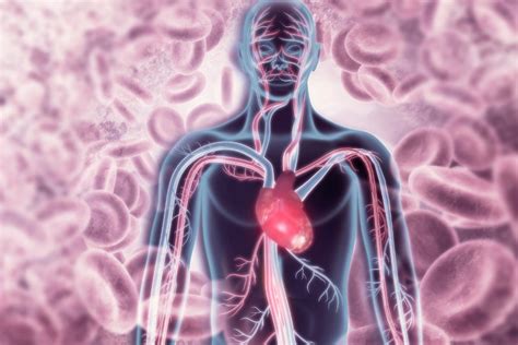 Organismo Imaturo Originado Após O óvulo Ser Fecundado