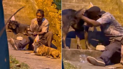 Morador De Rua Comemora O Anivers Rio De Seus Cachorros E Se Torna Viral