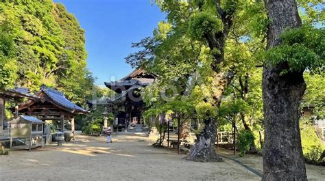 四国八十八ヶ所 58番 仙遊寺 境内風景 No 24940436｜写真素材なら「写真ac」無料（フリー）ダウンロードok