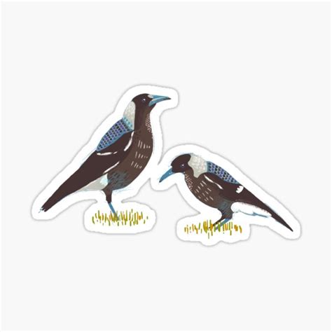 Australian Magpies Australian Bird On Aqua Background Sticker By