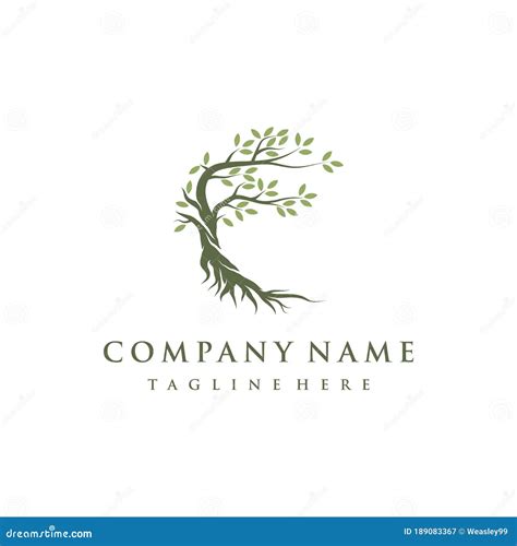 Tree And Roots Logo Design Vector Isolated, Abstract Mangrove Tree Logo Design | CartoonDealer ...