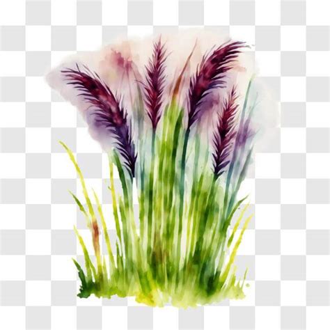 Download Purple Grasses Watercolor Painting Png Online Creative Fabrica