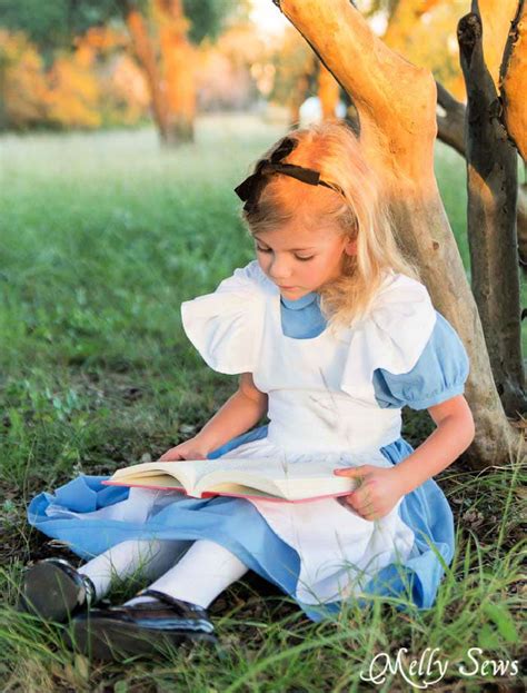 Diy Alice In Wonderland Costume Ideas Blitsy