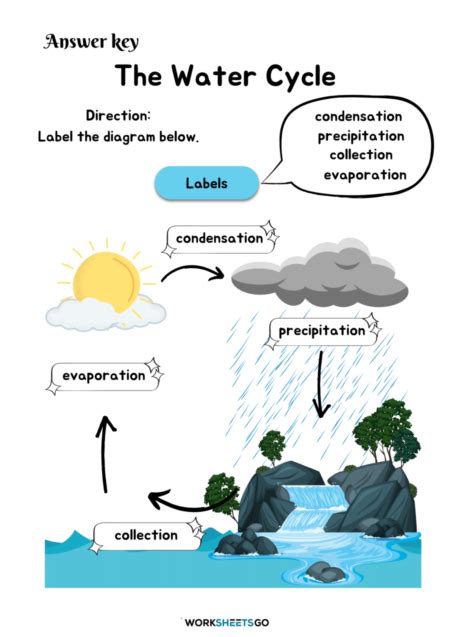 The Water Cycle Worksheets Worksheetsgo