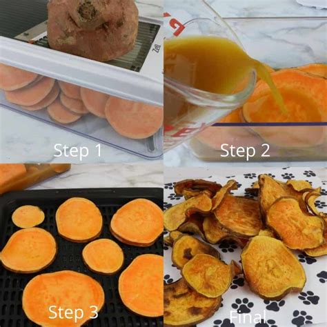 Easy Air Fryer Chicken Sweet Potato Dog Chews House That Barks