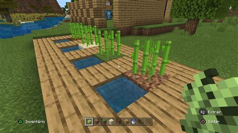 Como Plantar Cana No Minecraft - Como plantar cana de açúcar no Minecraft