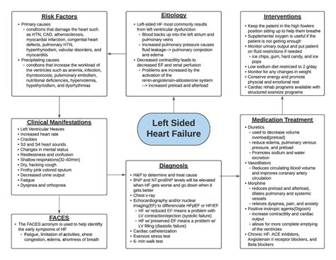 Left Sided Heart Failure Pathoflow Left Sided Heart Failure Risk