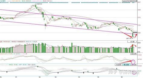 市场开启反弹修复行情，量能决定反弹空间！ 知乎