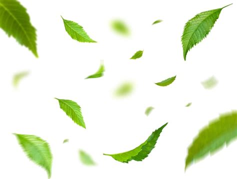 Premium Photo Green Floating Leaves Flying Leaves Green Leaf Dancing