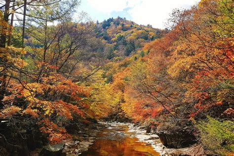 An Ultimate Guide To Seoraksan National Park For First Time Visitors