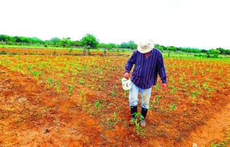 Chepo Y Chiriquí En Estado De Emergencia Por Escasez De Lluvias