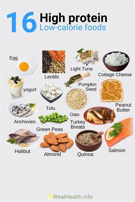 16 High protein Low-calorie foods | Nutrition recipes, Food to gain ...