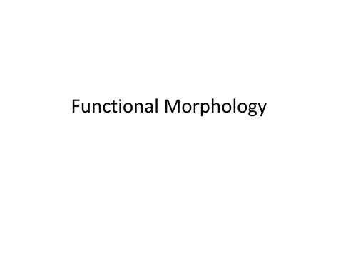 Ppt Functional Morphology Powerpoint Presentation Free Download Id