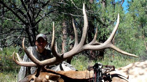 New Mexico Elk Hunting Archery Elk Hunt Full Hunt Youtube