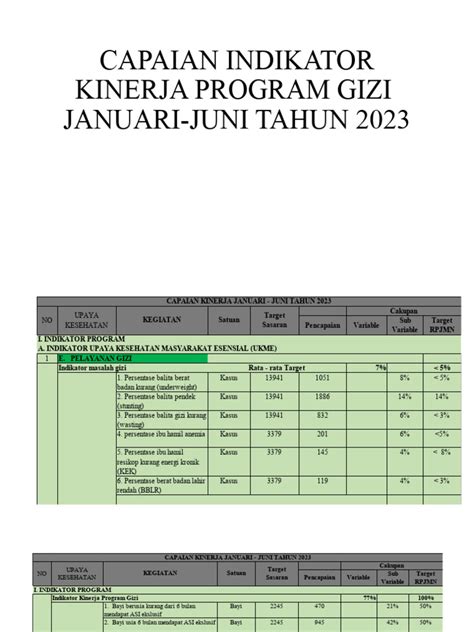 Capaian Indikator Kinerja Program Gizi Juni 2023 Pdf