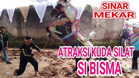 Atraksi Kuda Pencak Silat Si Bisma Youtube