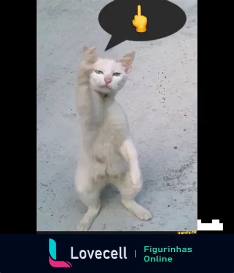 Figurinha Meme Memes Gato Mostrando O Dedo Do Meio Para WhatsApp