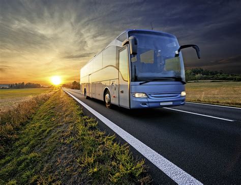 Busfahren Unter Neuen Bedingungen Reise Badische Zeitung