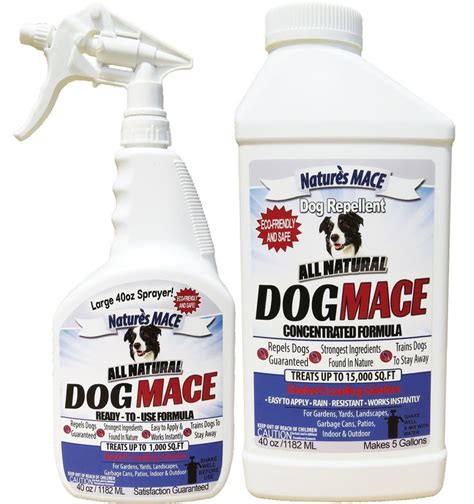 Spray Bottle For Dog Aggression - New Product Review articles, Deals ...