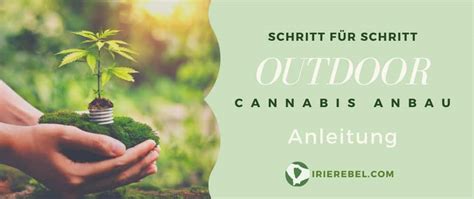 Cannabis Anleitungen Grow Guides Hanf Informationen Irierebel