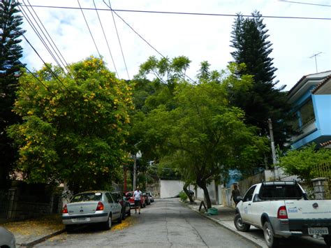 O PASSEADOR TIJUCANO Rua Pinheiro Da Cunha Rua Cotingo