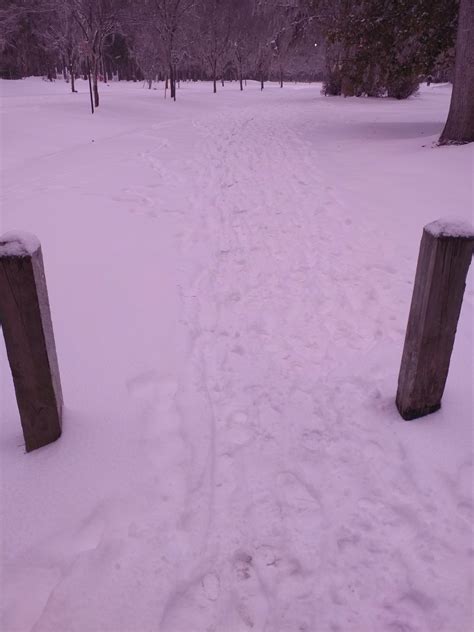 Trail To West Ashley Park Yesterday Rcharleston