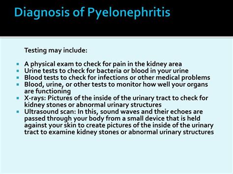 Ppt Pyelonephritis Causes Symptoms Daignosis Prevention And Treatment Powerpoint