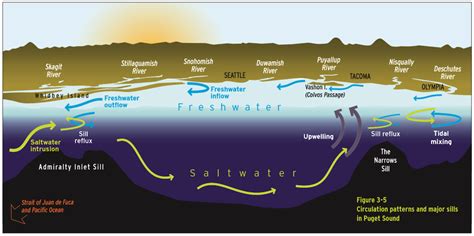 The Blob Revisited Marine Heat Waves And The Salish Sea