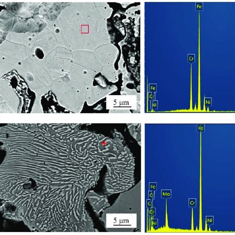 Microstructure Of Porous 316 Stainless Steel A Austenite Grain And