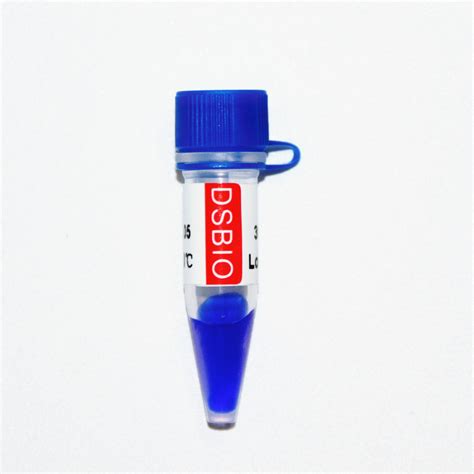 Bp Ds Dna Electrophoresis Marker Dna Ladder For Rna Gel