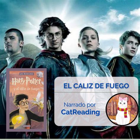 Cap Caminos Separados Harry Potter Audiolibros Narrado Por