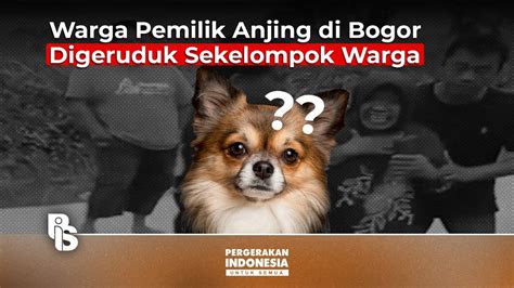 Cindy Florencine Warga Pemilik Anjing Di Bogor Digeruduk Sekelompok