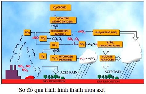 Chất Góp Phần Hình Thành Mưa Axit Nguyên Nhân và Giải Pháp