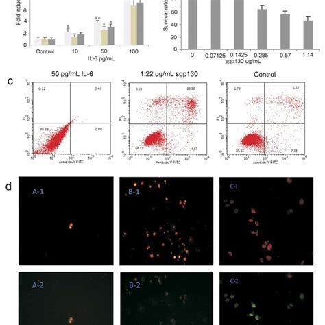 Sgp Suppresses Il Signaling Pathway In Hepg Cells A Lysates Of