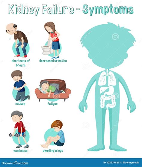 Kidney Failure Symptoms