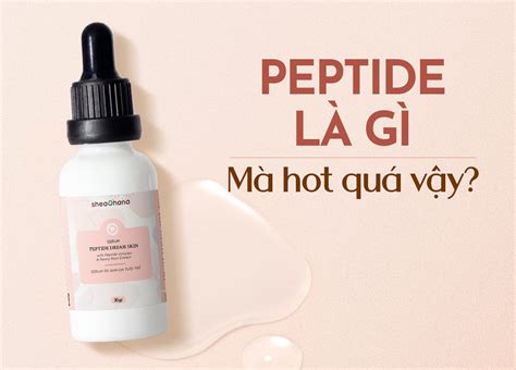 Peptide là gì 5 tác dụng của Peptide đối với làn da của bạn