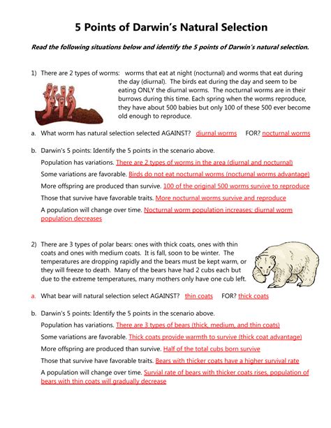 Types Of Selection Worksheets Answers