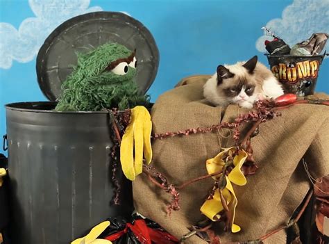 Oscar the Grouch Challenges Grumpy Cat to a Grouch Off - E! Online