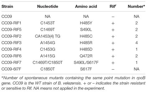 Frontiers Rifampicin Resistance Mutations In The Rpob Gene In