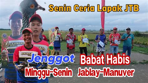 Jenggot Merpati Konsisten Hari Beda Lapak Juara Senin Ceria