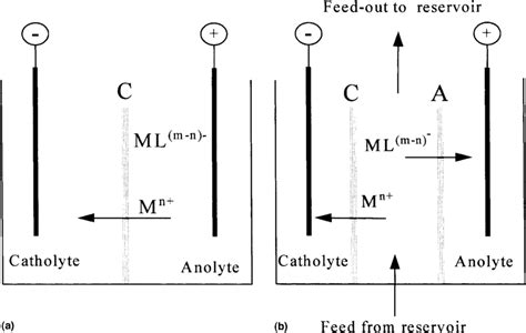 Electrodialysis Cell A With Two Compartments And B With Three