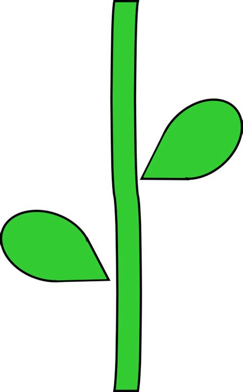 Flower Stem - Openclipart