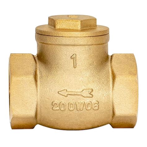 Ez Flo Brass Swing Check Valve Lf The Home Depot Off