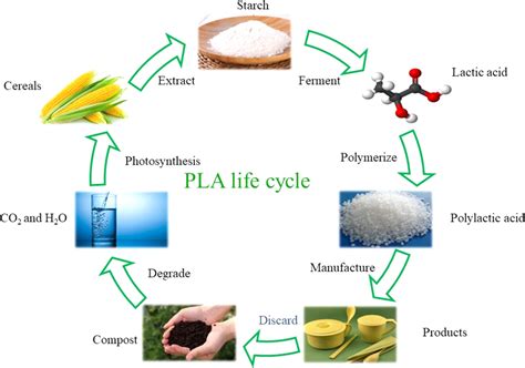 Journal of Applied Polymer Science | Wiley Online Library