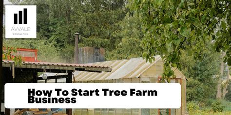 How To Start A Tree Farm Business