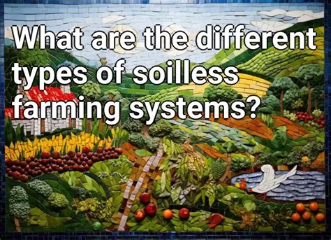 What Are The Different Types Of Soilless Farming Systems Agriculture